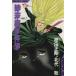  б/у . конец магазин . раз .7 шт манга SC allman молодежь комикс север плата . Shueisha 