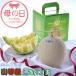  День матери 2026 Crown дыня гора и т.п. класс 1.2kg1 шар Shizuoka префектура производство ... подарок подарок 