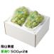  виноград Seto ja Ian tsu способ. баловство немного есть перевод 500g×2. Okayama префектура производство JA...... виноград 