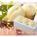  персик белый .. ... Okayama белый персик Royal 3L размер 300g×3 шар Okayama префектура производство JA...... Momo 