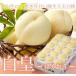  персик белый .. ... Okayama белый персик Royal 8~16 шар 3.5kg Okayama префектура производство JA...... Momo 