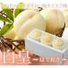  персик белый .. ... Okayama белый персик Ace 2L размер 250g×3 шар Okayama префектура производство JA...... Momo 