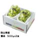 подарок на Bon Festival виноград автомобиль in мускат .. super товар 500g×2. Okayama префектура производство .. виноград подарок ваш заказ 
