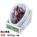  виноград фиолетовый .... красный превосходящий 600g×1. Okayama префектура производство JA...... виноград 