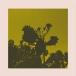 BRIGHT &amp; FINDLAY / SLOW DANCE (12")