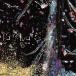 SALE ۾ / LA SELVA (180g) (LP)