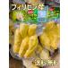 ドリアン 果物の王様 500g*2袋 冷凍フルーツ フィリピン産