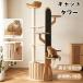  башня для кошки кошка tower из дерева высота 188.5cm космический корабль house .. дом ротанг style корзина имеется подножка шт. имеется много голова .. соответствует кошка tree кошка для товары для домашних животных 