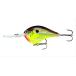Rapala(ラパラ) クランクベイト DT ダイブストゥ 5cm 12g ホットマスタード HM DT6-HM ルアー