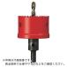 Panasonic Х᥿ۡ륽75 ( EZ9DX075 ) ѥʥ˥å()饤ե塼󥺼