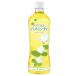 [ relax жасмин чай PET 600ml×24 шт. входит ]. глициния . массовая закупка жасминовый чай большая вместимость пластиковая бутылка 