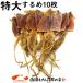  dried squid free shipping extra-large 10 sheets dried squid ) Hakodate. dried squid extra-large size ×10 sheets insertion ( approximately 500~550g) dried squid .. delicacy Hokkaido Pacific flying squid dried food ( year-end gift . -years old .)