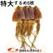  dried squid free shipping extra-large 5 sheets dried squid ) Hakodate dried squid extra-large size ×5 sheets insertion ( approximately 250g~280g) dried squid .. delicacy Hokkaido Pacific flying squid dried food year-end gift . -years old .