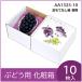 �u�h�E�E�V���C���}�X�J�b�g�M�t�g�p���ϔ��@�����ĂȂ��� �v���[���g�{�b�N�X �����P�[�X ���� �Ԃǂ��Q�[�p �ʕ��� ����� �p�b�P�[�W 10���� �iAA1325�j