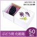 �u�h�E�E�V���C���}�X�J�b�g�M�t�g�p���ϔ��@�����ĂȂ��� �v���[���g�{�b�N�X �����P�[�X ���� �Ԃǂ��Q�[�p �ʕ��� ����� �p�b�P�[�W�@50�����@�iAA1325�j