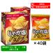 ���L���� �|�e�g�t���C ���Ⴊ���o�^�[ 11g �~ 40�� �w����z�B �C�x���g