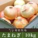  овощи шар лук порей Hokkaido производство специальный культивирование лук репчатый M~2L 10kg