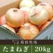  овощи шар лук порей Hokkaido производство специальный культивирование лук репчатый M~2L 20kg