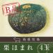 B класса товар овощи тыква Hokkaido производство каштан ...4 шар входить юг .
