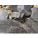 BLACK natural edible clay (. натуральный еда для глина ), 100 g