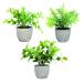ZERONOWA искусственная зелень человеческий труд декоративное растение Mini растение в горшке 3 позиций комплект настольный интерьер смешанные товары (3)