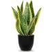 Villa Como искусственная зелень интерьер зеленый сансевиерия человеческий труд декоративное растение искусственный цветок настольный воздушный pra 