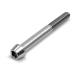 EGWORKS ULTRA-TiTM высокая интенсивность 64 titanium конус болт M6x70mm