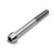 EGWORKS ULTRA-TiTM высокая интенсивность 64 titanium конус болт M6x75mm