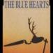CD���󥰥롡THE BLUE HEARTS / ̴