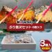 N's Factory .. роскошь комплект 6 шт. комплект бесплатная доставка запад столица .. сырой ... соль ..... плита кулинария простой кулинария жарение рыба вакуум рефрижератор ( Hokkaido * Okinawa доставка отдельно )