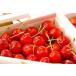 .... вишня Yamagata производство 500g роза ..
