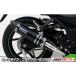 Ninja250Rʥ˥󥸥JBK-EX250K ʥߥåޥե顼 桼 ե륨 ֥åܥ JMCAǧ 륺WirusWin