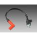  универсальный рейсинг * катушка зажигания ASSY MINIMOTO( Minimoto ) Monkey (MONKEY)
