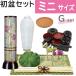 ���~�Z�b�g �~�j�T�C�Y G�Z�b�g (30cm��) LED�R�[�h���X�񓔁E���h�肨�V�t �V�~�Z�b�g �y���~�p�i�z ���~ ���~���� �V�~���� ���~�� �V�~�� �V�~ ���~