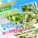 �~���� �󂠂� �_2�w����5��OFF�N�[�|�����p�^ �~ �Ԃ�~ �I�B �썂�~ �Z�[�� �͂��݂� ���߂��� 800g ����������~ ������ ���Y100�� ���� �֘A�摜3