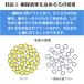 ���u���V �^�t�g24 �I�[�����P�A 10�{ �A�\�[�g �I�ׂ�т̍d�� S MS M �������� ���Ȑꔄ�i ����� ���Ȉ�@ �����\�h �����a�\�h �֘A�摜4