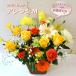 �ŒZ�ŗ����z�B 14���Y  �������� �ꕔ�n������� ���� �a���� �L�O�� �v���[���g �ސE �h�V�̓� ���ފ� �X���ɂ��܂����A�����W�l�T�C�Y