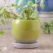  pop цвет раунд pot желтый зеленый примерно 3 номер поддонник есть модный цветочный горшок 
