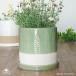  leaf рисунок цилиндр pot зеленый примерно 4.5 номер поддонник есть модный цветочный горшок керамика производства 