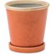 POSH LIVING(poshu living )g Rossi - pot абрикос размер : примерно φ16 H16.5 30767
