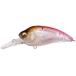  Megabass (Megabass) SUPER-Z Z2 GP хлопок корюшка 