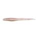  Megabass (Megabass) HAZEDONG 3inch Aurora Shad 
