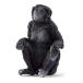 shulaihi wild жизнь bonobo( женский ) 14875