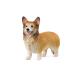 shulaihi ферма world well shu* Corgi 13999