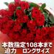  роза букет 50шт.@ цветок цвет случайный 8980 иен . календарь праздник .108шт.@ Propo -z. праздник цветок день рождения . индустрия входить .. встречи и проводы длинный размер 