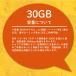 �y������p�z�y�V���o�C�� �v���y�C�h SIM�J�[�h 30GB ���� �y�V��� au ���ۃ��[�~���O���p�\ �f�[�^�ʐM prepaid SIM �֘A�摜2