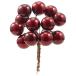  gloss .. Berry V-4143 dark Cherry 10mm 24 ho n25-2157-8 flower pick fruit pick 