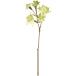  искусственный цветок MAGIQ Tokyo . Curren Astra ntia#23 светло-зеленый FM007670-023 искусственный цветок материалы для цветочной композиции [. line ]a -тактный Lancia 