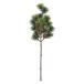  искусственный цветок MAGIQ Tokyo . время . сосна ветка GREEN зеленый JV001457 искусственный цветок ветка предмет сосна 