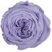  консервированный Prima ve-lanana сад rose 8 колесо голубой lilac 88449 консервированный цветок материалы для цветочной композиции роза rose 